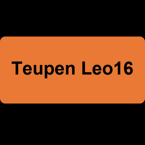 Teupen Leo16